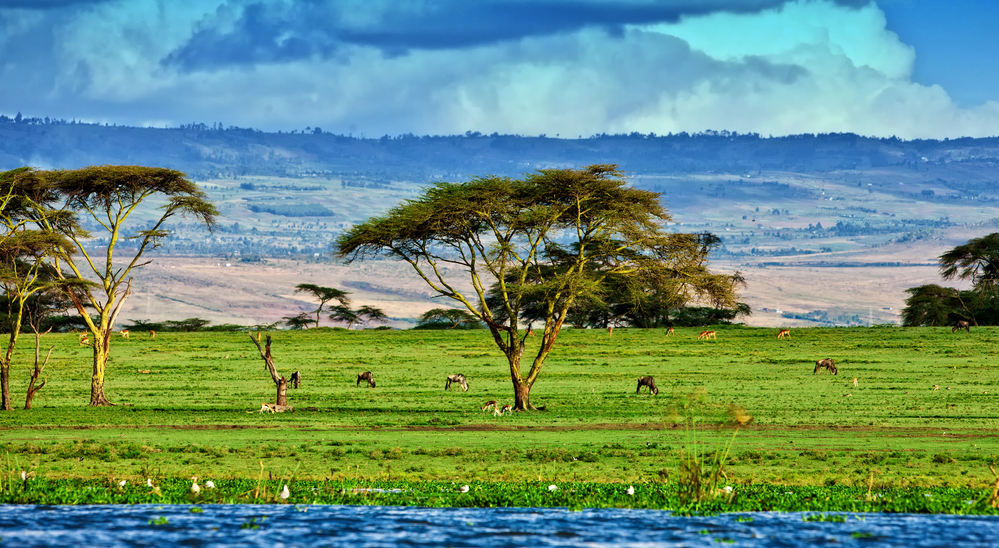 A visa will no longer be required to visit Kenya
