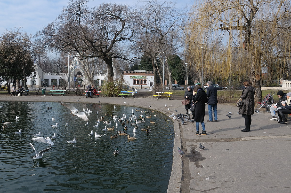 Hungary, Budapest