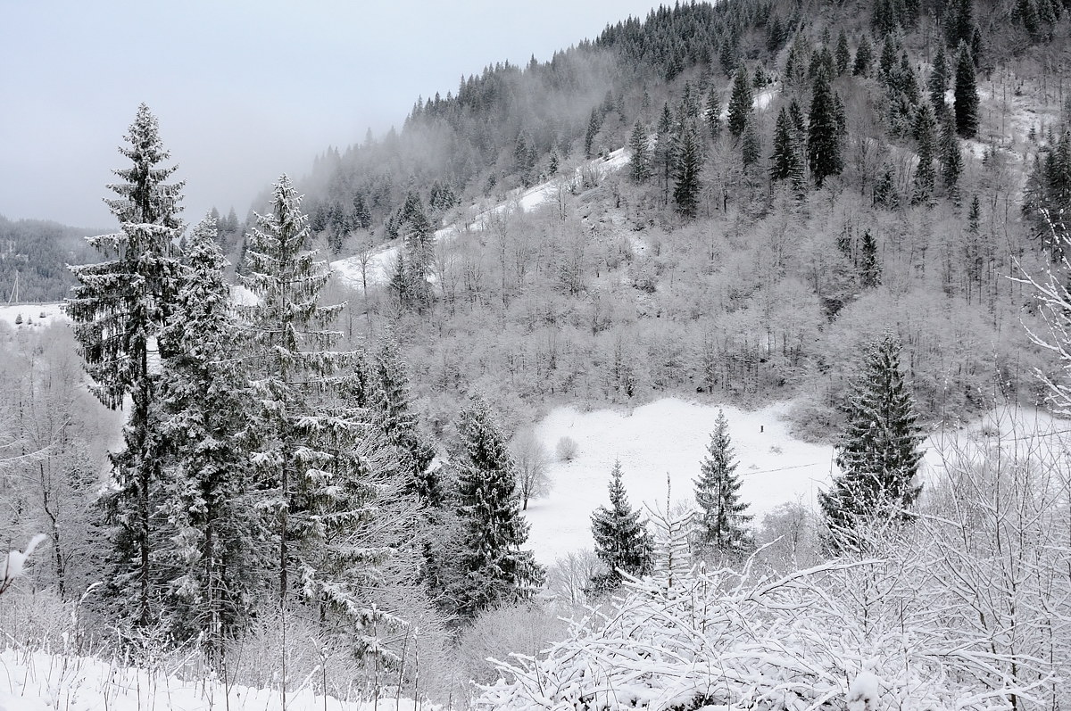 Carpathians, Ukraine