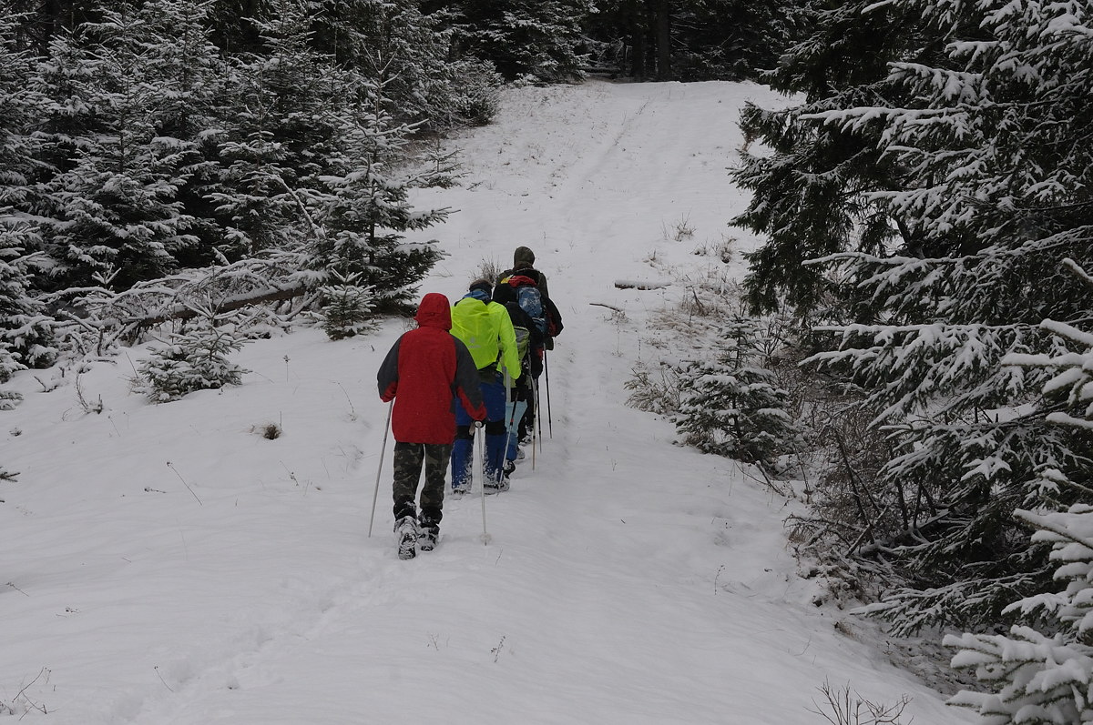 Carpathians, Ukraine