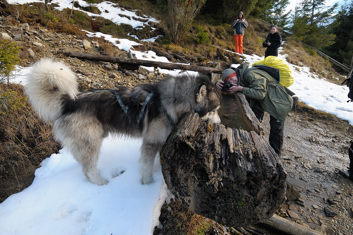 Carpathians, Ukraine