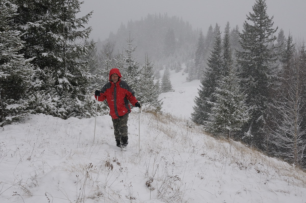 Carpathians, Ukraine